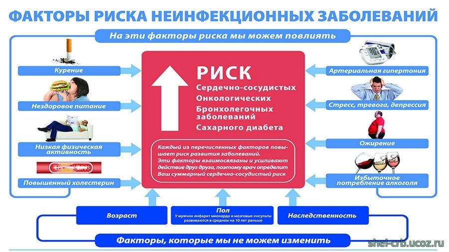 Профилактика неинфекционных заболеваний